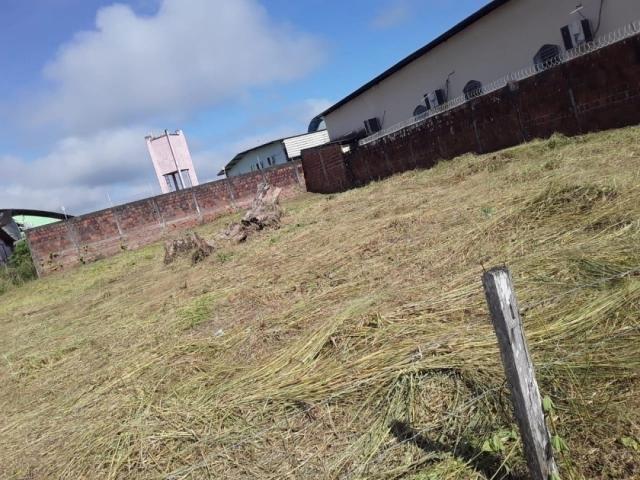 #325 - Área para Venda em Cruzeiro do Sul - AC - 1