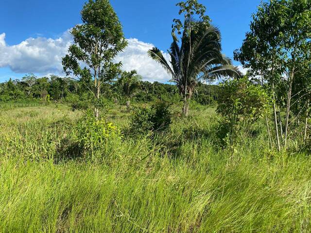 #345 - Área para Venda em Cruzeiro do Sul - AC - 2