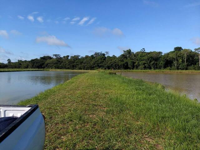 #353 - Área para Venda em Cruzeiro do Sul - AC