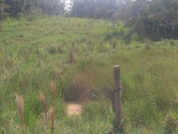 #AR/304 - Área para Venda em Guajará - AM - 1